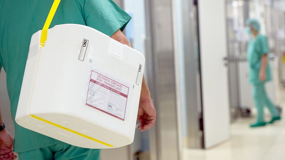 Auch anonyme Nierenspenden sollen künftig möglich sein. (Archivbild) Foto: Soeren Stache/dpa