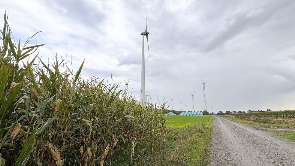 Aktuell gibt es drei Windparks in Wiesmoor: in Hinrichsfehn, in Mullberg (Foto) und in Zwischenbergen. Jetzt will die Stadt einen eigenen bauen. Foto: Nicole Böning