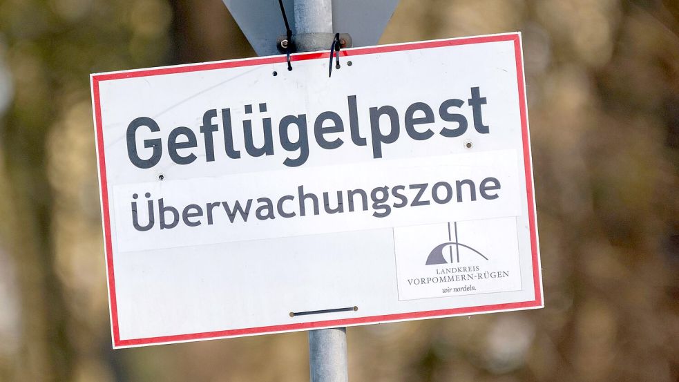 Pro getötetem Tier können Tierhalterinnen und Tierhalter bis zu 50 Euro erhalten. (Symbolbild) Foto: Stefan Sauer