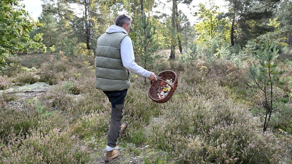 Moritz Schmid unterwegs in seinem Heimatwald. Foto: Lilli Förter
