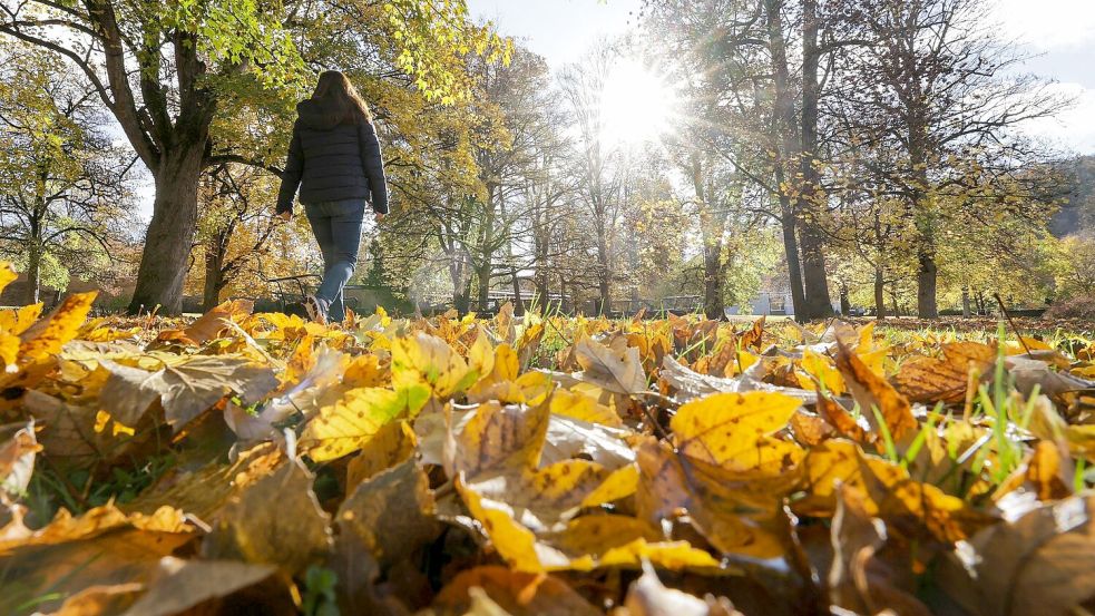 Die Sonne ist längst nicht überall zu sehen und zeigt sich eher sporadisch. Foto: Thomas Warnack/dpa