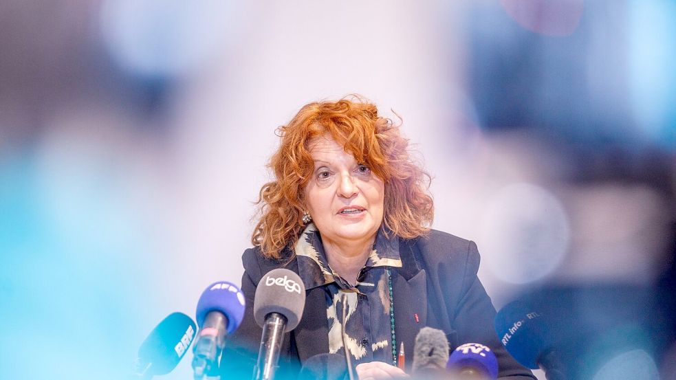 Die Pariser Staatsanwältin hofft auf eine schnelle Aufklärung des Louvre-Falls (Archivbild). Foto: Hatim Kaghat