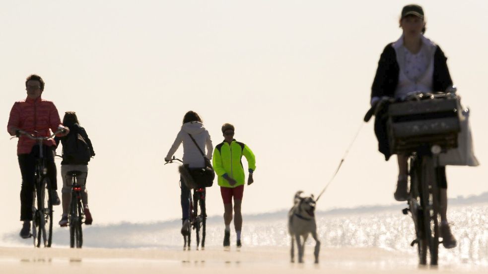 Von Sport profitieren Frauenherzen mehr als Männerherzen. (Illustration) Foto: Mohssen Assanimoghaddam/dpa