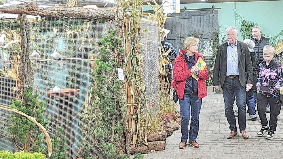 Viele Besucherinnen und Besucher schlenderten am vergangenen Wochenende durch die Reihen der Volieren, die der Vogelzucht- und Naturschutzverein Weener in der Kleintierhalle aufgebaut hatte. Foto: Bodo Wolters