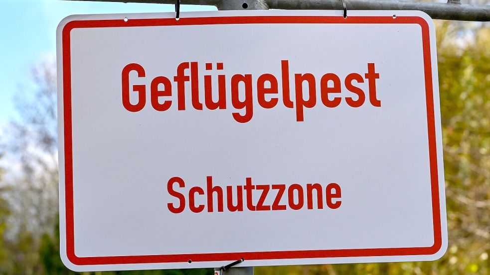 Wenn es zu einem Ausbruch der Geflügelpest kommt, wird um den betroffenen Betrieb (das Bild zeigt ein Schild nach einem Ausbruch in Brandenburg) eine Schutzzone eingerichtet, in der sämtliches Geflügel in geschlossenen Ställen gehalten werden muss. Foto: dpa/Patrick Pleul