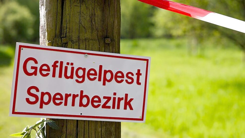 Ein Warnschild zur Geflügelpest. Symbolfoto: Christoph Reichwein/dpa