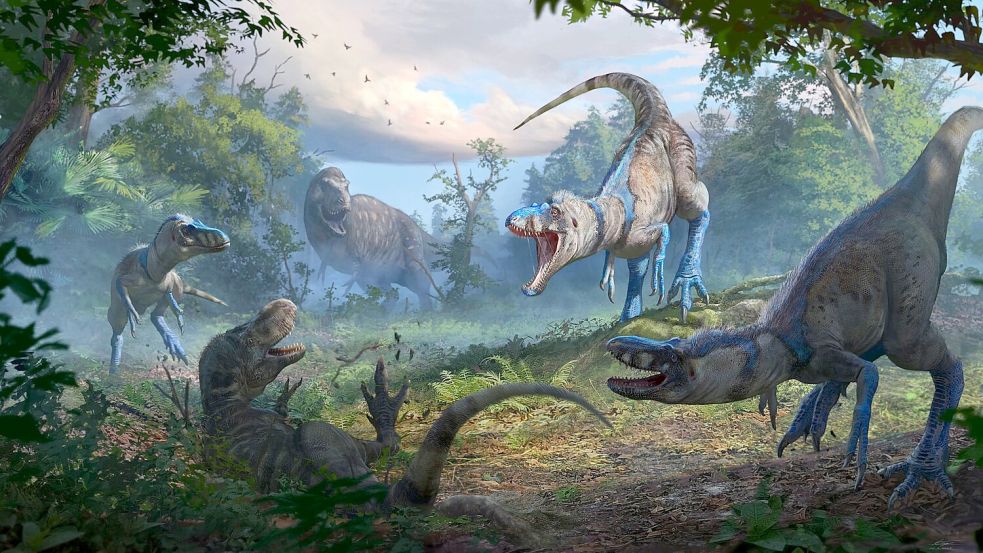 Nanotyrannus war wohl ein schlankerer, schnellerer und wendigerer Jäger als der T-Rex. Foto: Anthony Hutchings/Nature/dpa