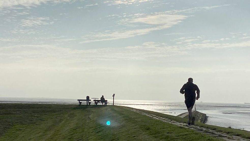 Höchsttemperaturen in der Nordsee, häufigere Hitzewellen, steigender Meeresspiegel und höher auflaufende Sturmfluten: Die Auswirkungen des Klimawandels sind längst an der Küste Ostfrieslands sichtbar. Foto: Melanie Hanz