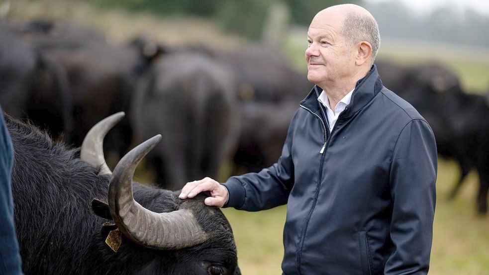 Hat als einfacher Abgeordneter nun mehr Zeit: Der frühere Bundeskanzler Olaf Scholz (SPD). (Archivbild) Foto: Fabian Sommer/dpa