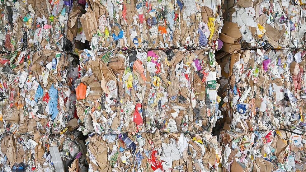 Aus altem Papier lässt sich neues machen. Foto: Patrick Pleul