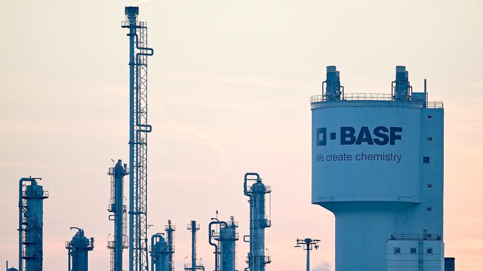 BASF hat trotz heftiger Kritik Milliarden in ein neues Werk in China investiert- (Archivbild) Foto: Uwe Anspach