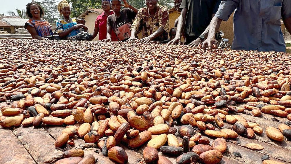Der Kakaoanbau ist Experten zufolge besonders anfällig für extreme Wetterschwankungen. (Archivbild) Foto: Christina Peters/dpa