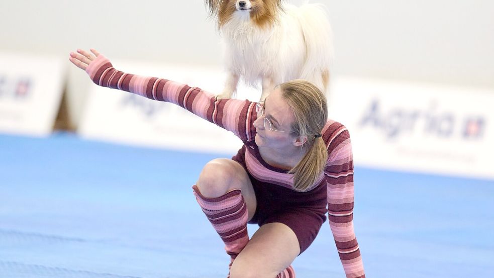 Zum Repertoire gehören zahlreiche Kunststücke. Foto: Bernd Thissen