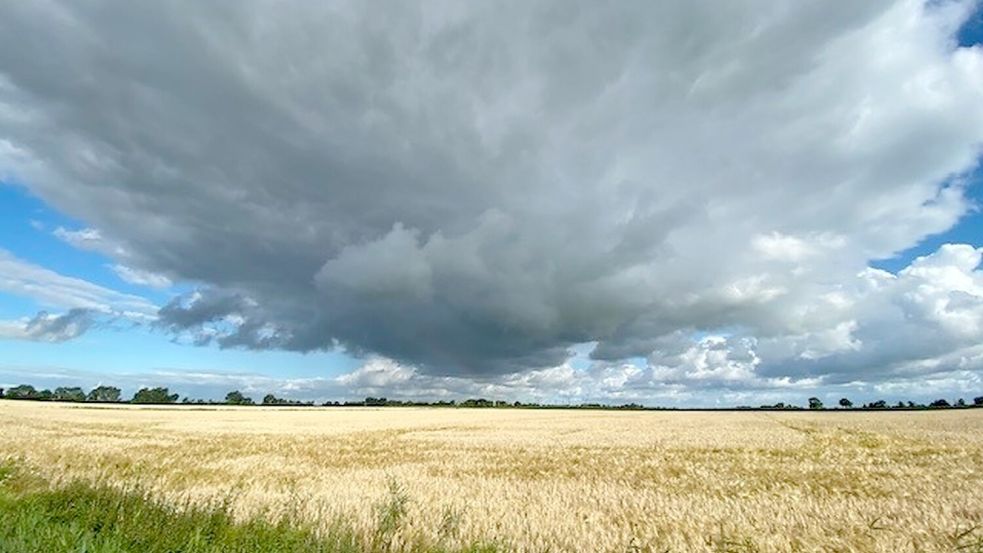 Mit diesem Foto hat sich Dr. Doris Janssen aus Aurich an der Mitmach-Aktion beteiligt. Foto: Dr. Doris Janssen