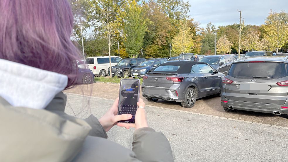 Auf dem Parkplatz des Schwimmbads De Baalje gibt es einige besondere Kennzeichen zu sehen. Foto: Björn Klüver