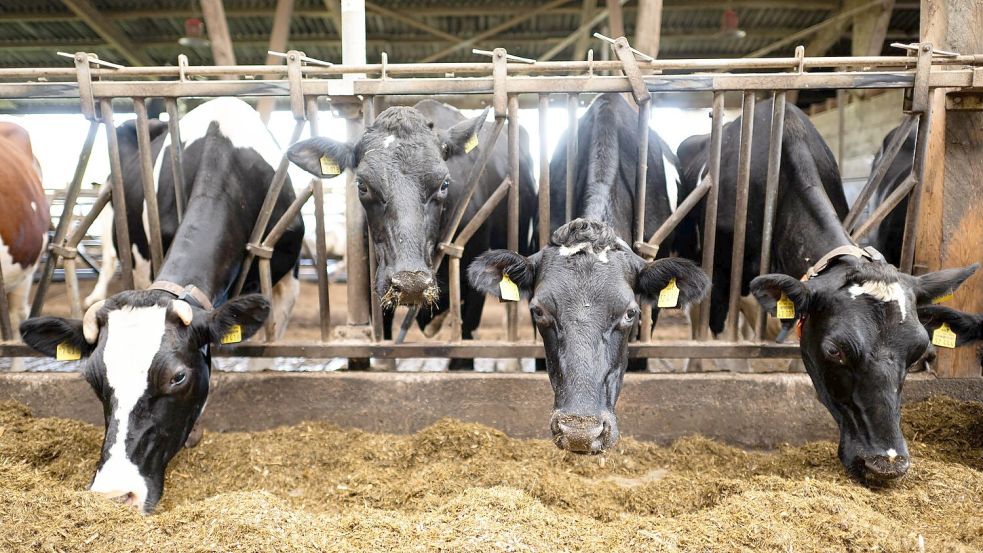 Schon im vergangenen Jahr waren nach Bauernprotesten in der EU Erleichterungen für Landwirte beschlossen worden. (Archivfoto) Foto: Sina Schuldt