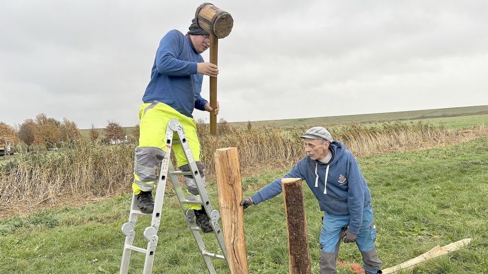 Jonas Janssen (mit Hammer) und Torsten Duckow schlagen einen Eichenspaltpfahl in den Boden. Foto: Oliver Bär