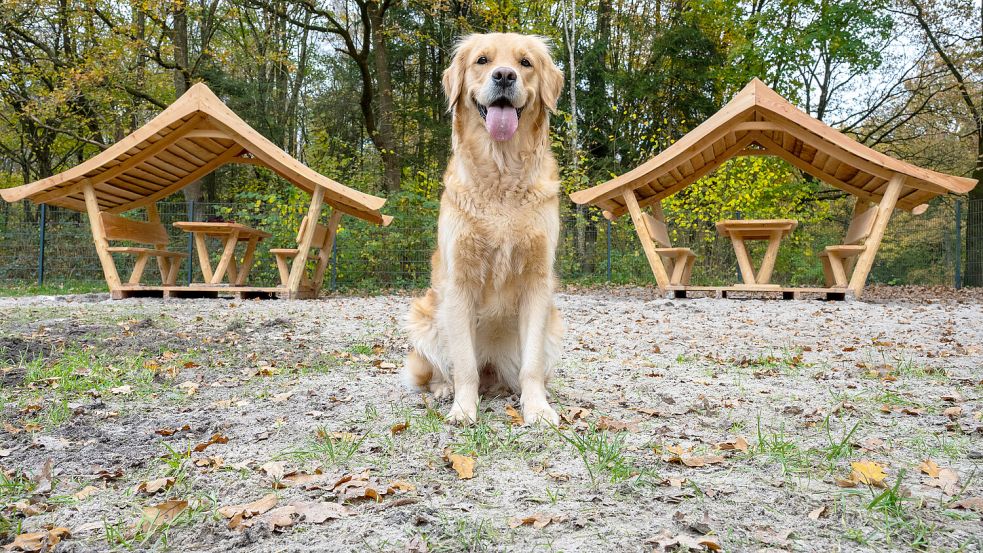 Frauchen und Herrchen können sich nun zusammensetzen, wenn sie auf der Freilauffläche sind. Foto: Klaus Ortgies