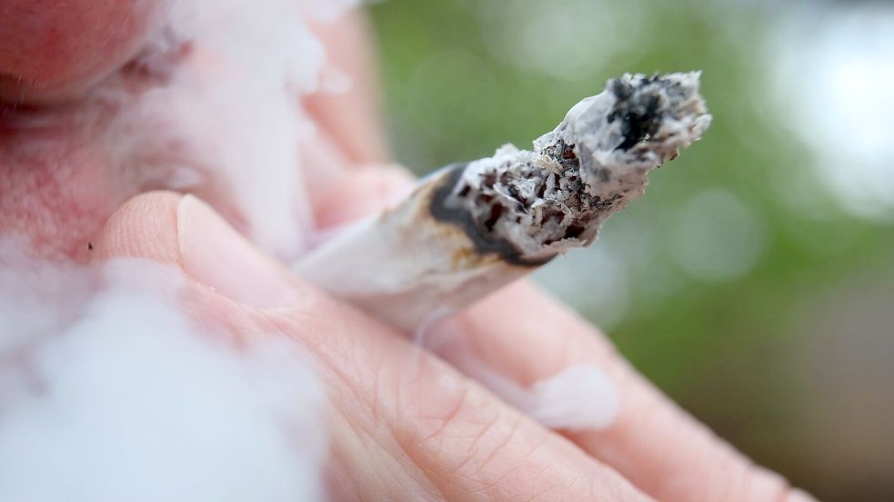 Laut Studie rauchte eine große Mehrheit der Cannabis-Konsumenten Joints. (Symbolbild) Foto: Karl-Josef Hildenbrand