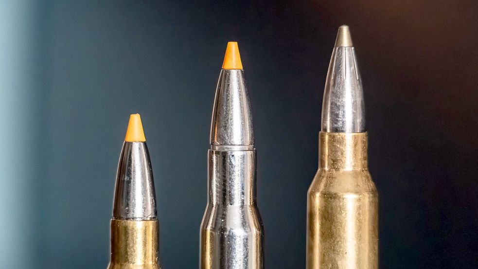 Jagdpatronen im Kaliber 308 Winchester (l-r), 30-06 Springfield und 300 Winchester Magnum stehen bei einem Jäger auf einem Waffenschrank. (Symbolbild) Foto: Silas Stein