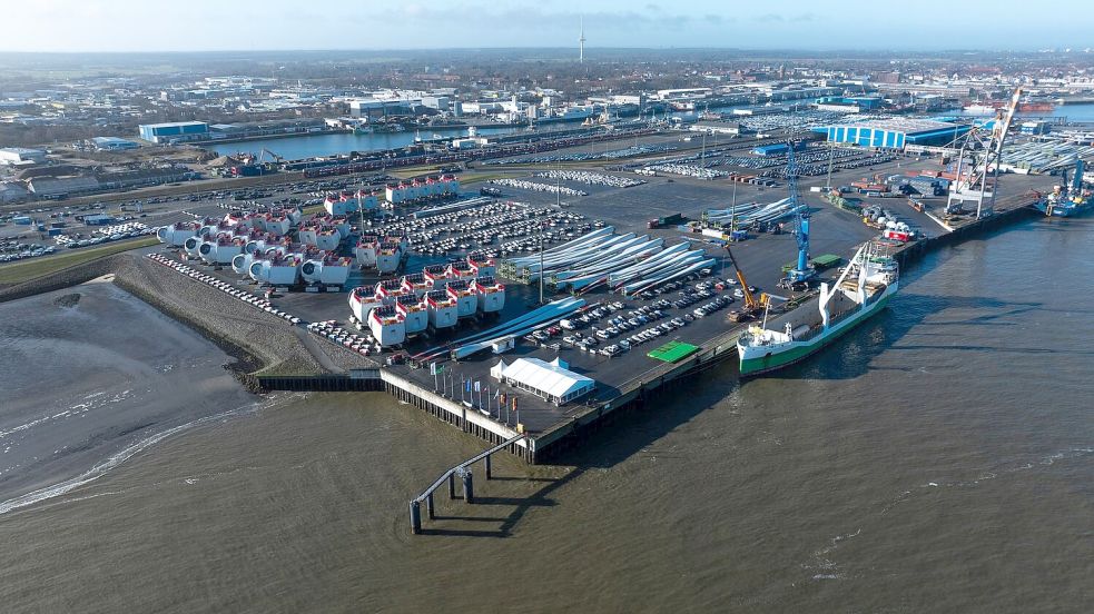 Im Hafen von Cuxhaven wurde ein toter Zwergwal entdeckt. (Symbolfoto) Foto: Philipp Schulze