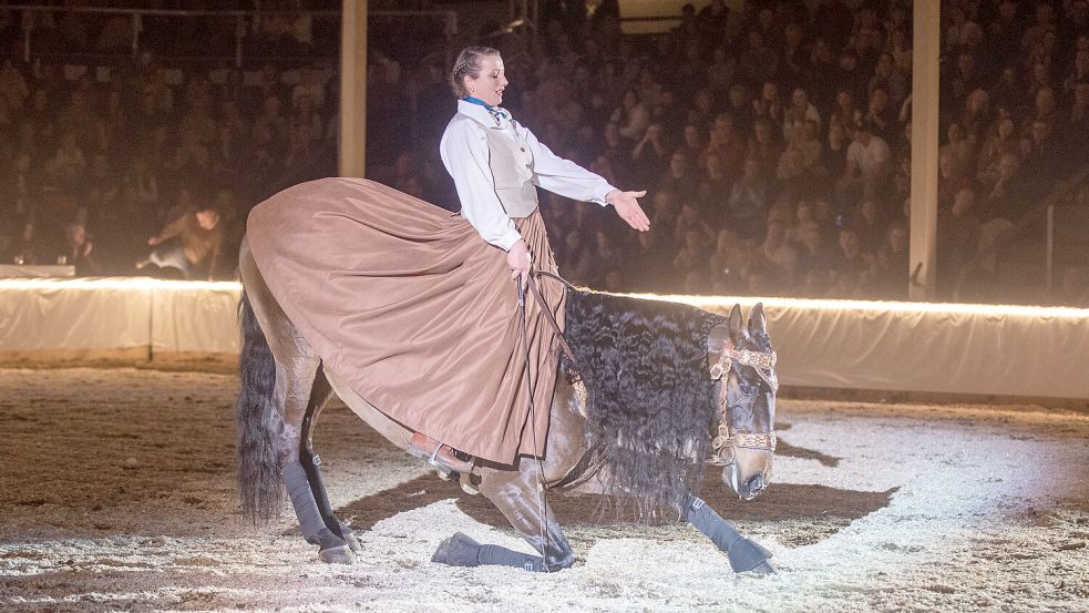 Auch Dressurelemente sind am 24. Januar wieder zu sehen.