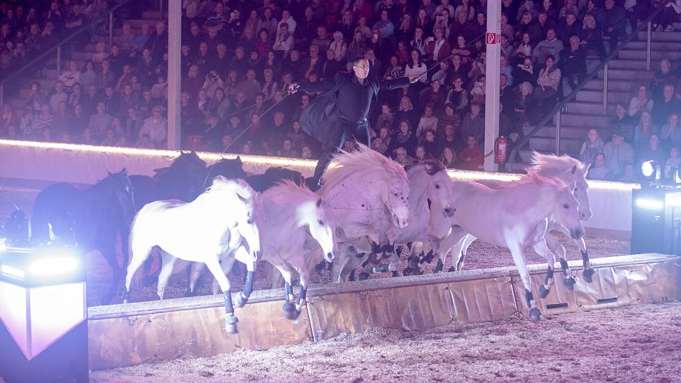Im vergangenen Jahr begeisterte Lorenzo das Pubikum mit seinen atemberaubenden Stunts.