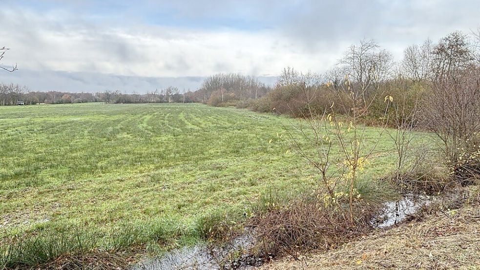 Diese tiefliegenden Flächen möchte die Gemeinde Südbrookmerland von der Stadt Aurich übernehmen. Hier könnte ein Flutpolder entstehen. Foto: Karin Böhmer