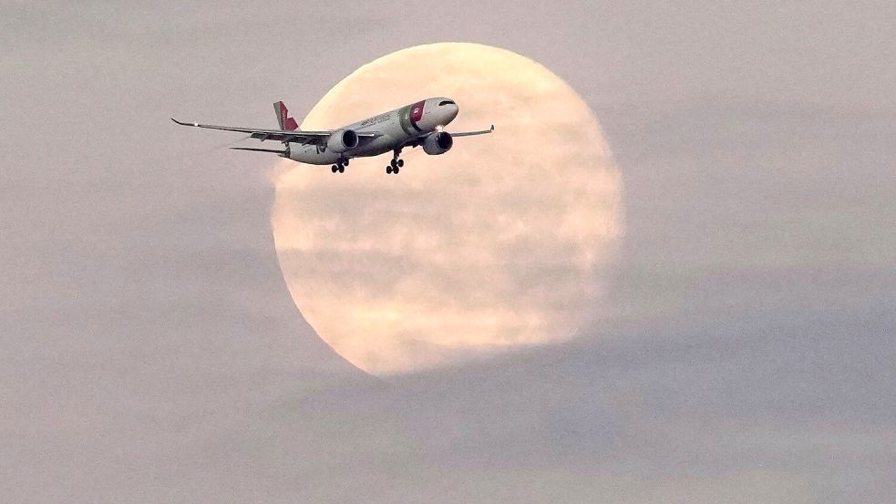 Die Lufthansa will bei der portugiesischen TAP einsteigen. Foto: Armando Franca/AP/dpa