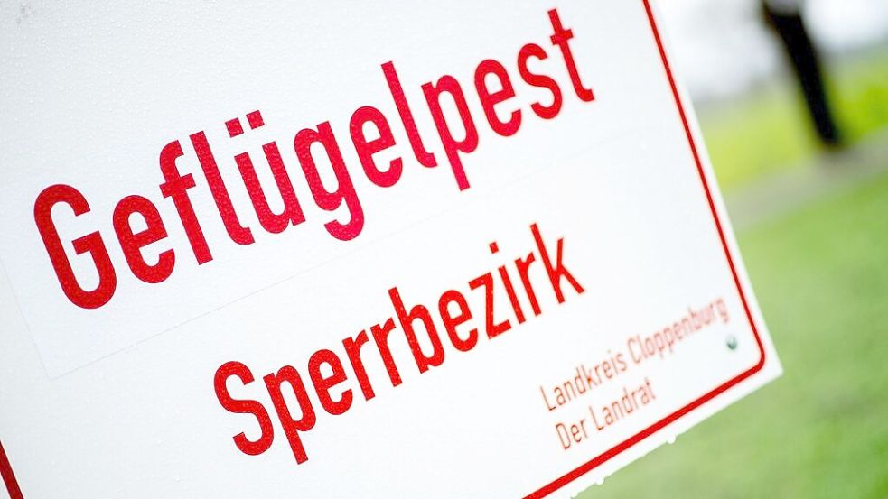 Ein Schild mit der Aufschrift «Geflügelpest Sperrbezirk» steht an einer Straße im Landkreis Cloppenburg. Symbolfoto: DPA