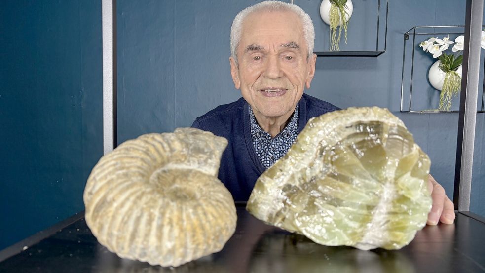 Manfred Nittmann zeigt einen Ammonit (links) und einen Fluorit. Foto: Christin Wetzel