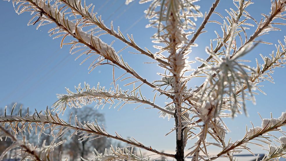 Am Sonntagabend und Montagmorgen dürfte es an vielen Orten glatt werden. Foto: Matthias Bein