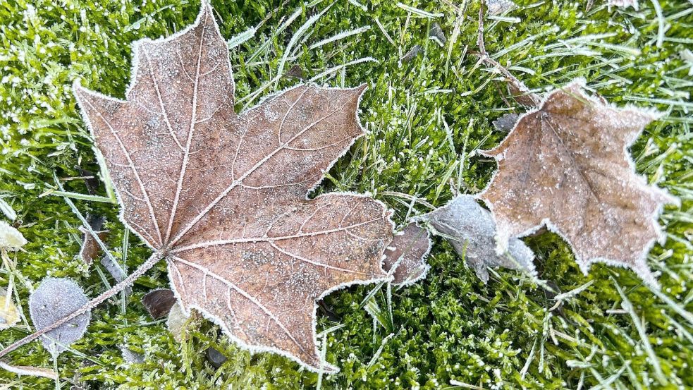 Vom Kälterekord ist das Wetter in Deutschland noch weit entfernt. Foto: Britta Pedersen/dpa