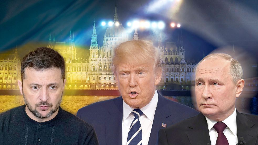 Kann US-Präsident Donald Trump zwischen dem ukrainischen Präsidenten Wolodymyr Selenskyj und Kreml-Chef Wladimir Putin vermitteln? Foto: IMAGO/Sven Simon/Presidential Office Ukraine/Fotomontage