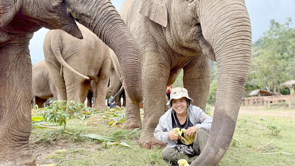 Saengduean „Lek“ Chailert verbringt täglich viel Zeit mit ihren Elefanten. Foto: Carola Frentzen/dpa