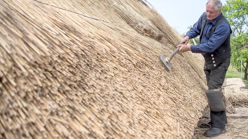 Ein Reetdachdecker arbeitet an einem Reetdach. Reetdächer gibt es vor allem in Norddeutschland. Foto: Schuldt/dpa