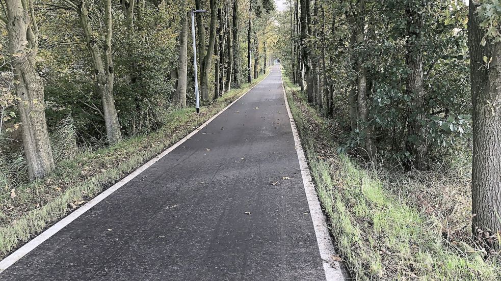 Die Radvorrangroute zwischen Leer und Ihrhove verbindet Stadt und Land und bietet Radfahrern sowie Fußgängern eine sichere Strecke. Foto: Gemeinde Westoverledingen/Beening