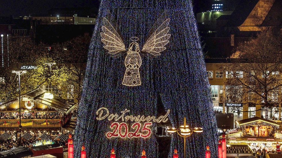 140.000 LEDs sorgen für die Beleuchtung des riesigen Baums. Foto: Dieter Menne/dpa