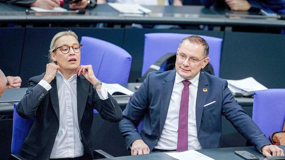 Die Gespräche von Alice Weidel, Co-Fraktionsvorsitzende und Co-Parteichefin der AfD, mit Unternehmern finden nach Angaben ihres Sprechers bislang meist im vertraulichen Rahmen statt. Foto: Kay Nietfeld/dpa