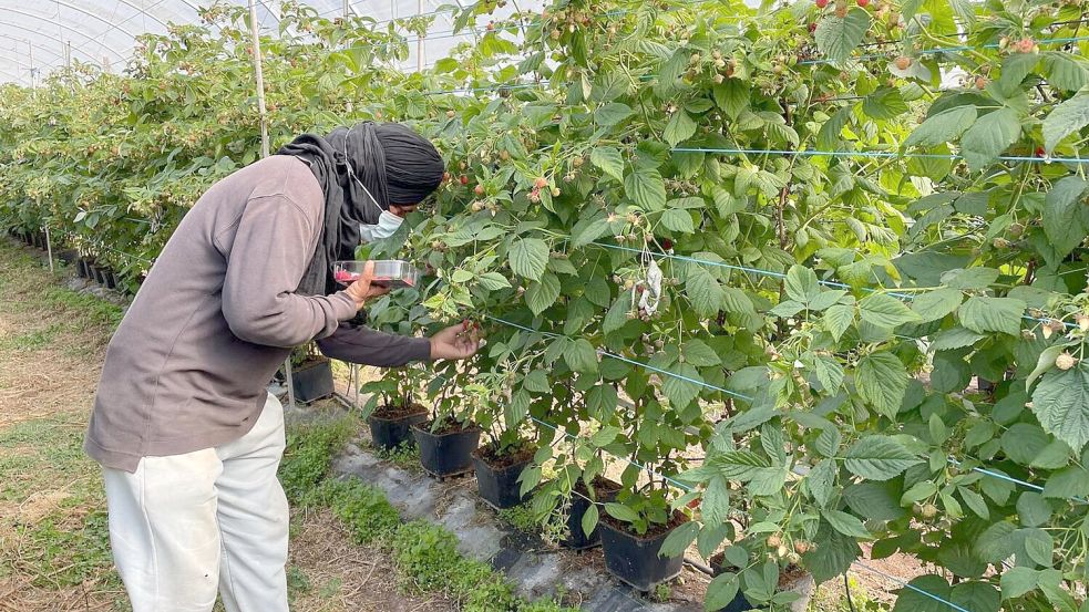Die befreiten Migranten wurden laut Polizei oft geschlagen. Foto: -/Portugiesische Kriminalpolizei