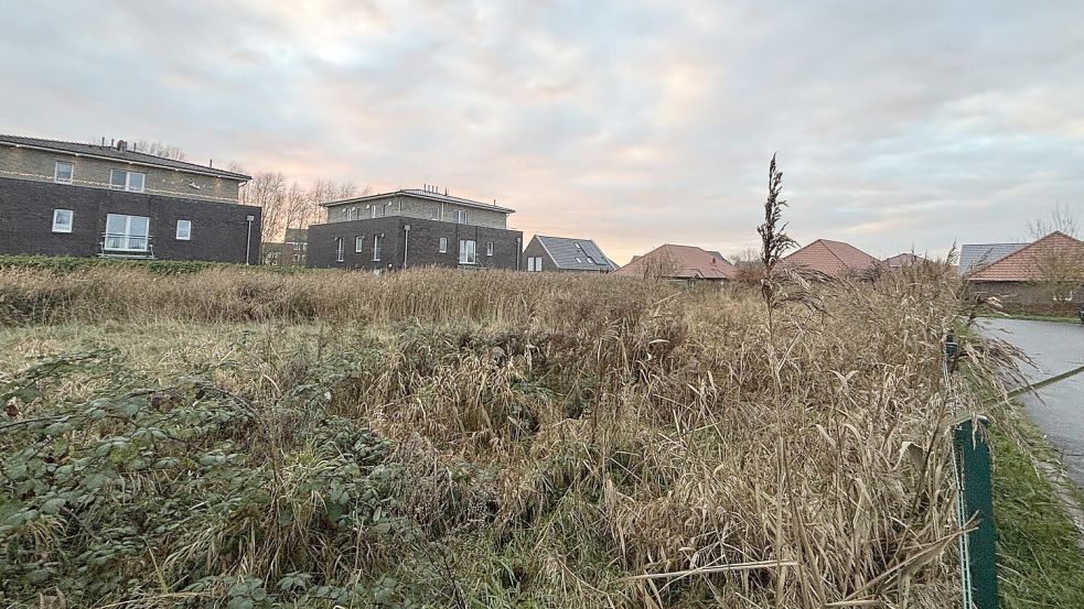 Auf diesem freien Grundstück Am Norder Tief 22 in Norden soll das neue Therapiezentrum des Leinerstifts entstehen. Foto: Rebecca Kresse