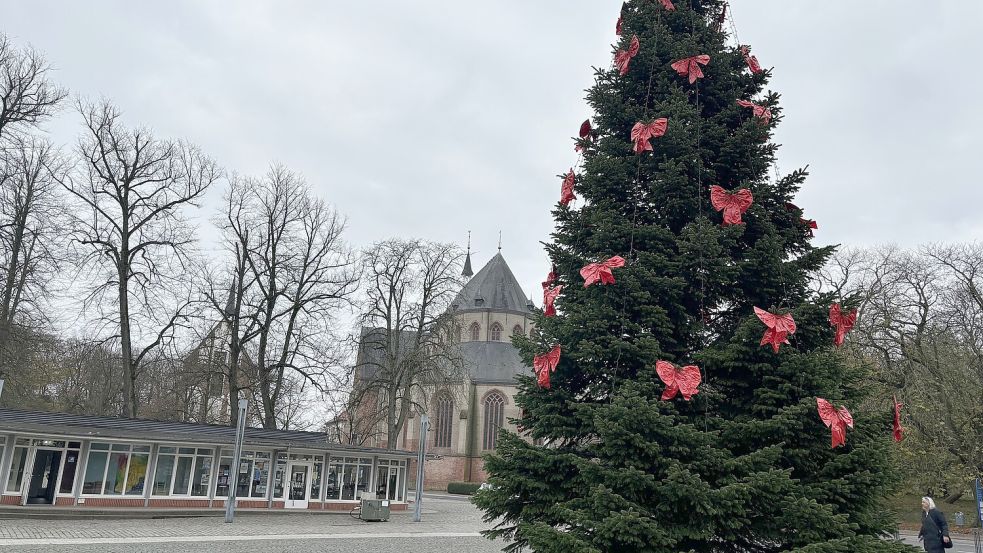 Schon in der kommenden Woche soll auf dem Norder Torfmarkt der Weihnachtsbaum aufgestellt werden. Foto: Rebecca Kresse
