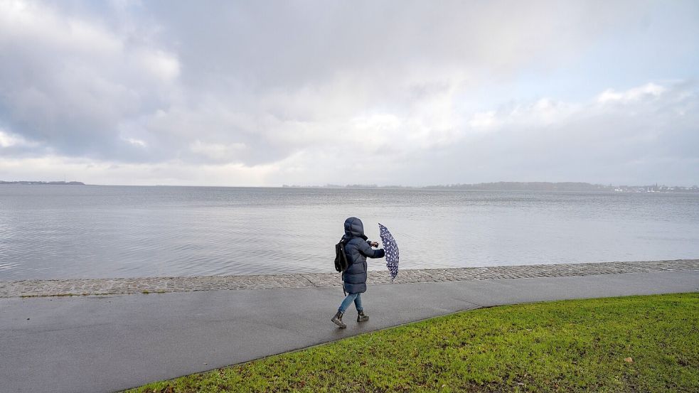 An diesem Wochenende einen Regenschirm dabei zu haben, wird bestimmt nicht schaden. Foto: Stefan Sauer/dpa