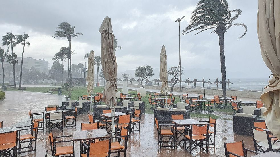 Auf Mallorca werden Windgeschwindigkeiten von bis zu 90 Kilometern pro Stunde erwartet. Foto: IMAGO/Augst/Eibner