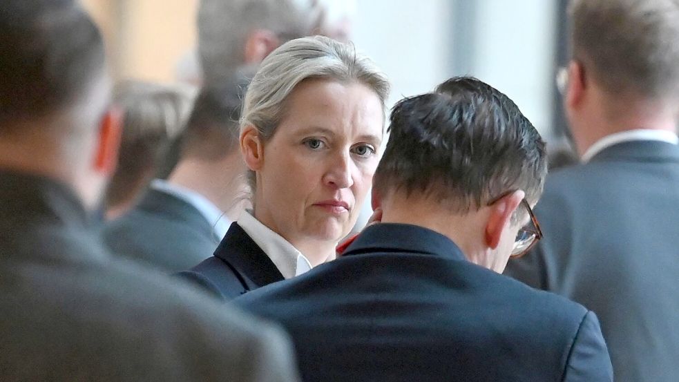 AfD-Chefin Weidel warnt vor Gewalt gegen AfD-Mitglieder. Foto: Elisa Schu/dpa