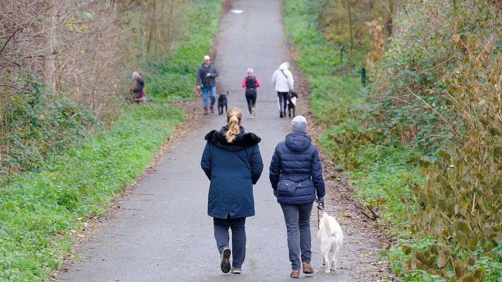 Zum Wochenstart wird es in vielen Regionen Deutschlands heiter bis wolkig. Foto: Henning Kaiser