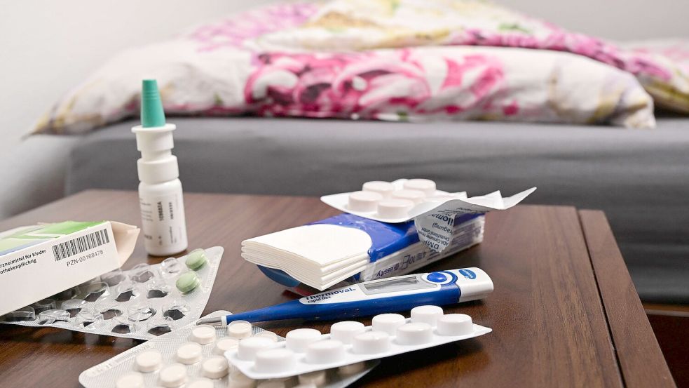 Die Grippewelle rollt auf Deutschland zu. Foto: Bernd Weißbrod/dpa