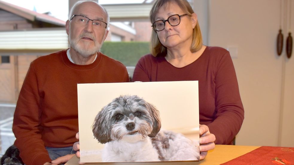 Peter und Petra Müller aus Ostrhauderfehn zeigen ein Foto von ihrer Hündin Abby. Diese starb am 1. Juni 2025 bei einem Angriff eines anderen Hundes. Fotos: Henrik Zein