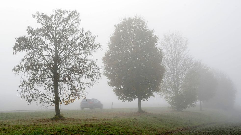 Das Wetter wird zwar zum Wochenende milder, aber es bleibt vielerorts glatt. (Symbolbild) Foto: Stefan Puchner