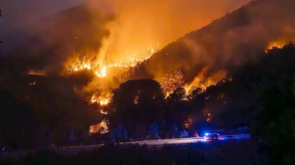 Ende August wüteten Waldbrände in Spanien. (Archivbild) Foto: Adrián Irago/EUROPA PRESS/dpa